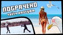 Чайки атакуют ¦ ПОТРАЧЕНО