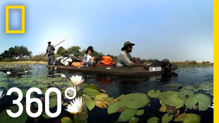 Visit the Okavango Delta in 360° | National Geographic