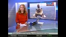 Летающие коты шокировали защитников животных
