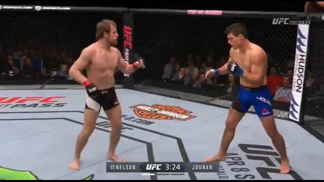 Gunnar Nelson vs Alan Jouban