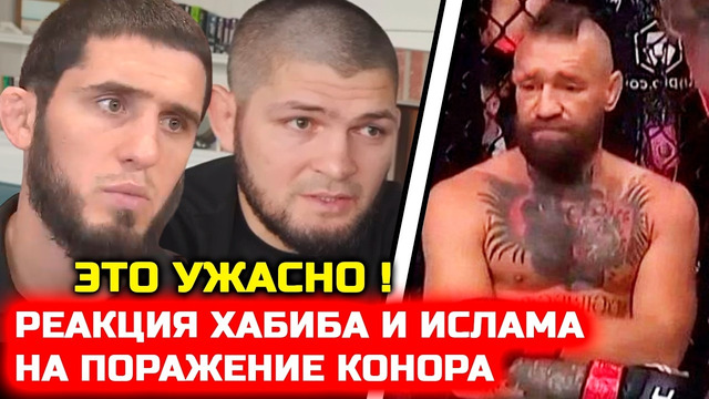 Хабиб и Ислам отреагировали на поражение Конора! конор макгрегор макс холлоуэй юфс 329