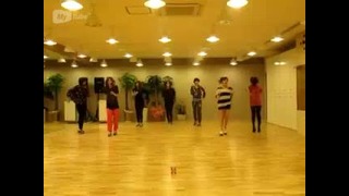 T-ara-love dovey(shuffle dance practise)