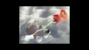 В. Калина – Стихи на снегу (шансон)