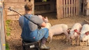 Animals Make You Forget All Your Problems
