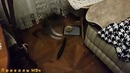 Прикольные моменты с кошками