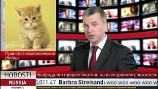 Кошки и мимими угрожают России