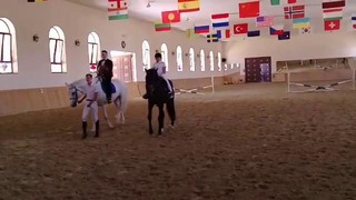 Предложение руки и сердца верхом на белом коне
