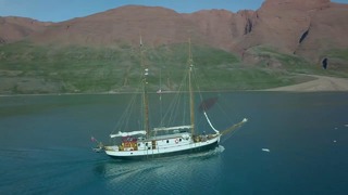 Nat Geo Wild: Виды Гренландии