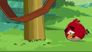Angry Birds Toons. 1 серия – “Час Чака” (“Chuck Time”)