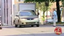 Сбил кота? Розыгрыш