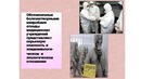 Медицинские отходы, классы А, Б, В, Г, Д