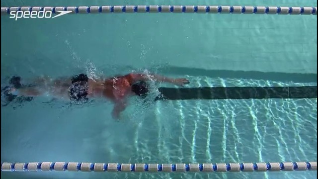 Freestyle Swimming Technique Body Positioning