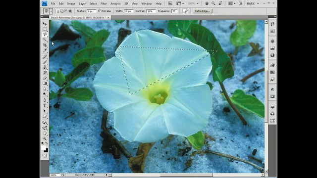 Adobe Photoshop Darslari 3-dars: «Lasso», «Crop», «Slice», «Magic wand» asboblari