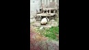 Когда кунг-фу – это твой стиль жизни