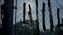 Ходячие мертвецы / The Walking Dead