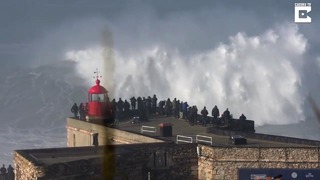 Отчаянный серфер покорил гигантскую волну в Португалии
