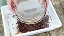 Индийский стартап делает сумки из выброшенных пакетов и плёнки