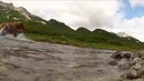 GoPro И гризли
