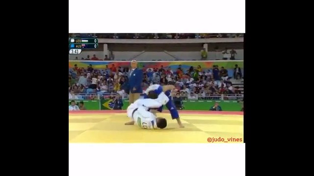 Judo Vine