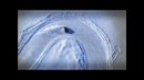 Bentley – Juha Kankkunen on Ice 2013