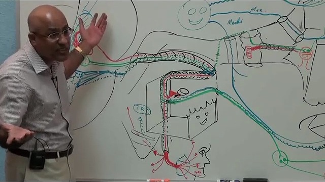 Facial Nerve – Neuroanatomy – Part 4⁄4 | Dr. Najeeb Lectures