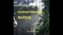 Как избавиться от тараканов? Дезинфекция в Ташкенте Звоните