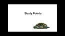 Learn English 01 – Introductions