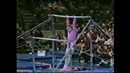 Paul Hunt – гимнастический клоун на турнике