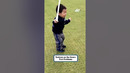 Talk about a hole-in-one! #swing