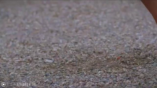 Hardstyle Top 30 Of 2019 October