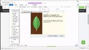 Курс по MongoDB. Урок 1. Установка MongoDB