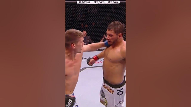 Wonderboy KO’s Are The BEST Knockouts
