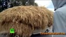 Всевидящее око – автомобильные видеорегистраторы стали частью российской культуры