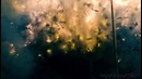 Взрыв фейерверка изнутри в slow-mo