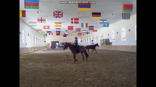 Тренировка в конном клубе " Аргамак шер"