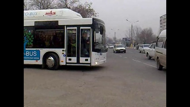 Новый автобус С России уже на Крестике?!(Ташкент)