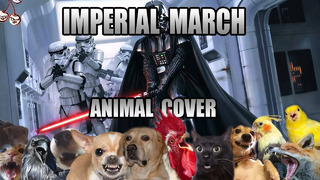 Imperial March but it sounds like animals