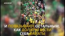 Почему ирландские фанаты такие крутые