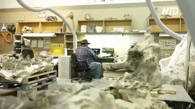 Самый большой череп динозавра в мире займёт место в музее в Дании