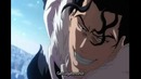 Bleach AMV