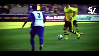 Marco Reus 2014 Goals & Skills Borussia Dortmund HD
