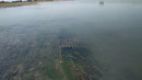 Ловля жереха на Сырдарье летом