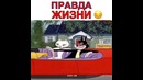 Правда жизни