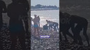 Отдыхавшие на море нашли мину и удивили всех своими действиями! | Новостничок