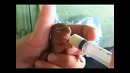 Маленькое существо кричало и просило помощи