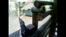 Lasertag in Forest Club. 6 October