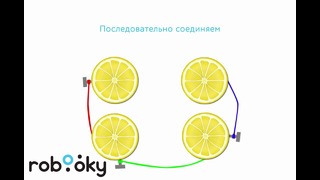STEAM образование в действии – делаем батареи из лимона, Robooky, Ташкент