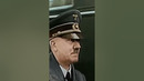 Противотанковые собаки
