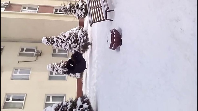 Сальто вперёд