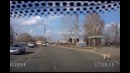 Некоторым стоит поучиться у собаки, как переходить улицу